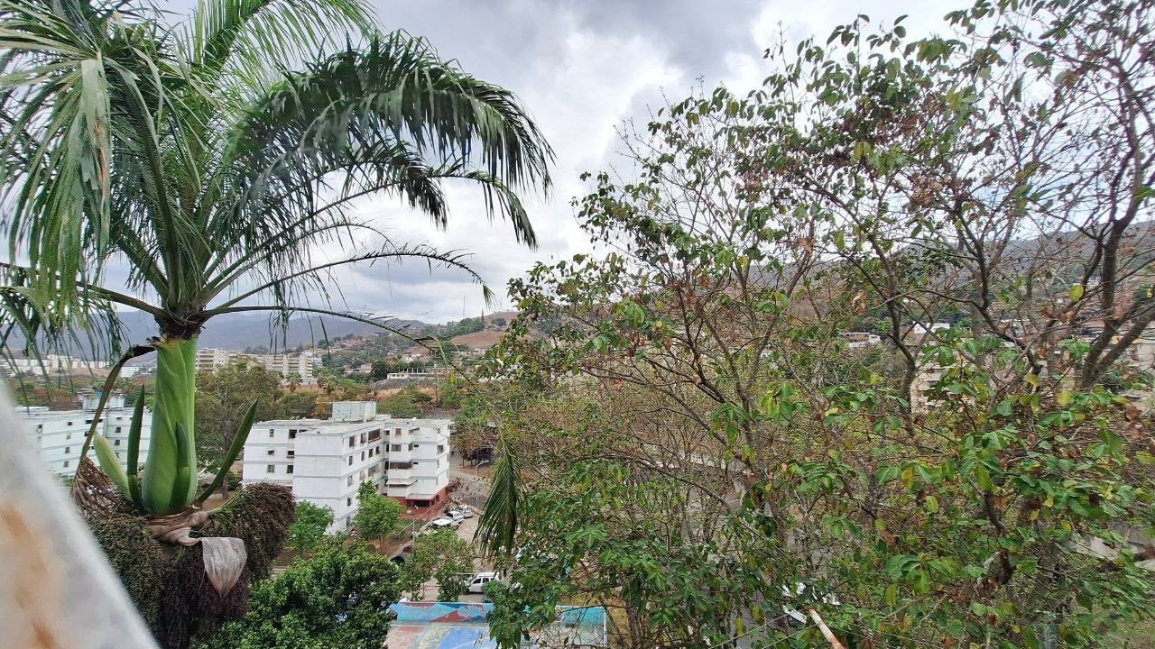 fotos de la propiedad