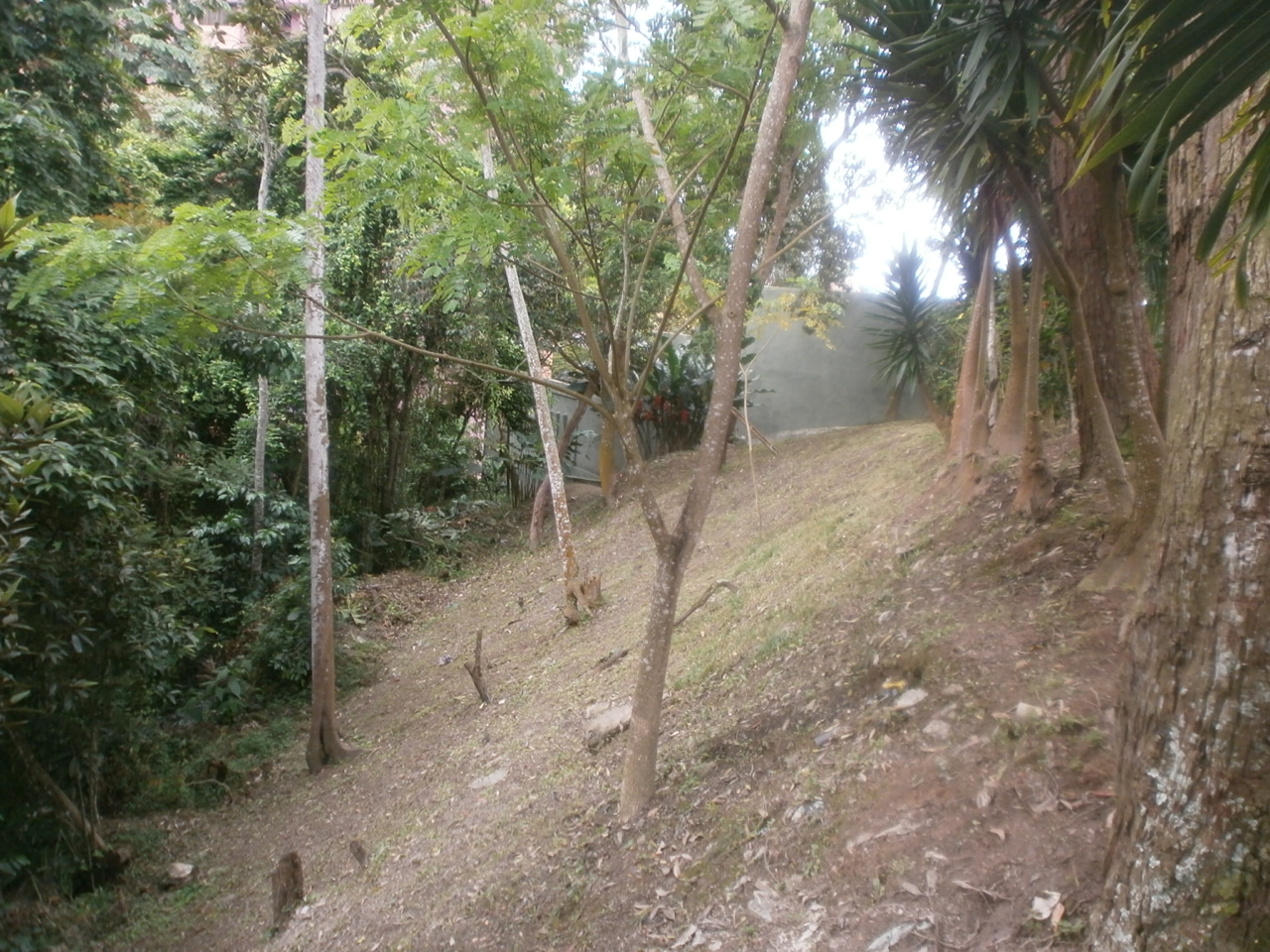 fotos de la propiedad